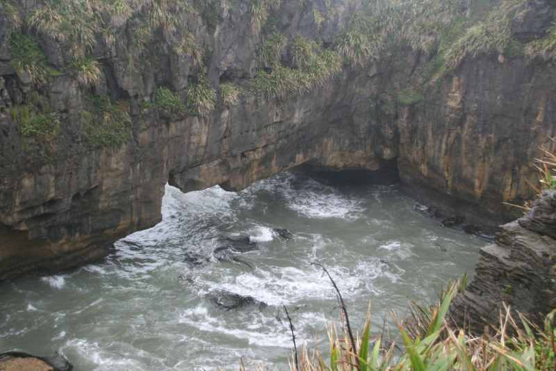Nieuw-Zeeland 2011 - 1313